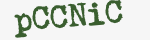 Enter these letters in the box below