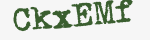 Enter these letters in the box below