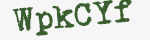 Enter these letters in the box below