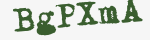Enter these letters in the box below