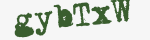 Enter these letters in the box below