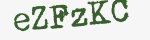 Enter these letters in the box below