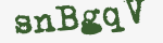 Enter these letters in the box below