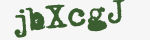 Enter these letters in the box below