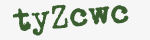 Enter these letters in the box below