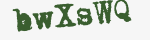 Enter these letters in the box below