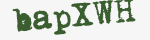 Enter these letters in the box below