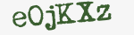 Enter these letters in the box below