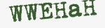 Enter these letters in the box below