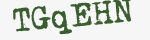 Enter these letters in the box below