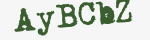 Enter these letters in the box below