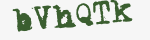 Enter these letters in the box below