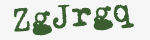Enter these letters in the box below
