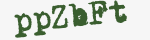 Enter these letters in the box below