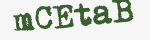 Enter these letters in the box below