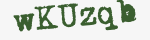 Enter these letters in the box below