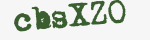 Enter these letters in the box below