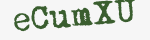Enter these letters in the box below
