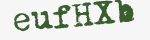Enter these letters in the box below