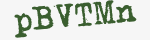 Enter these letters in the box below