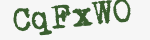 Enter these letters in the box below