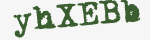 Enter these letters in the box below