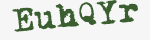 Enter these letters in the box below