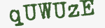 Enter these letters in the box below