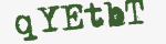 Enter these letters in the box below