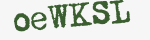 Enter these letters in the box below