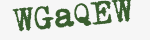 Enter these letters in the box below