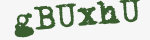 Enter these letters in the box below