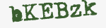 Enter these letters in the box below