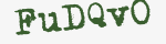 Enter these letters in the box below