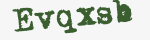 Enter these letters in the box below