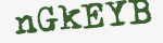 Enter these letters in the box below
