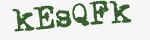 Enter these letters in the box below