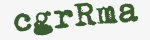 Enter these letters in the box below