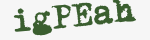 Enter these letters in the box below