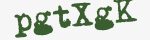 Enter these letters in the box below
