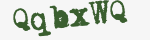 Enter these letters in the box below