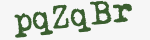 Enter these letters in the box below