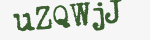 Enter these letters in the box below