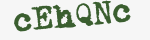 Enter these letters in the box below