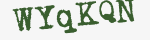Enter these letters in the box below