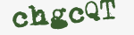 Enter these letters in the box below