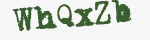 Enter these letters in the box below