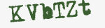 Enter these letters in the box below