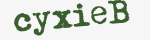 Enter these letters in the box below