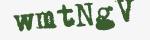Enter these letters in the box below